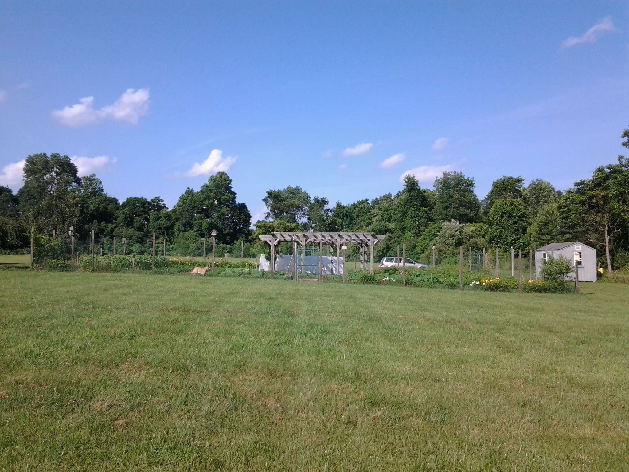 photo from July 6, 2013